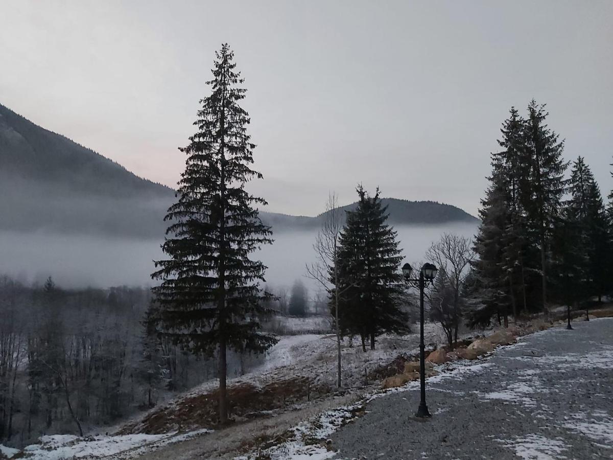 Resort Valea Tatarilor Lacu Rosu Eksteriør bilde